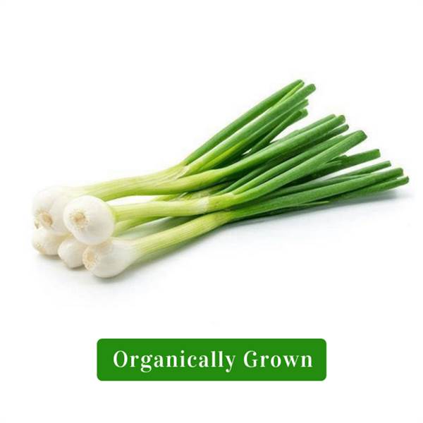 Organic Spring Onion/Organic Kanda Path (250gm-350gm)